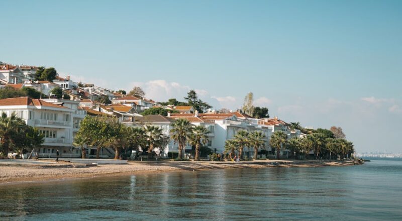 WordPress Temaları İçerik Şemaları ve Yapılandırılmış Veri