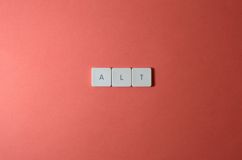 Medya içeriği için alt yazı ve erişilebilirlik öğeleri