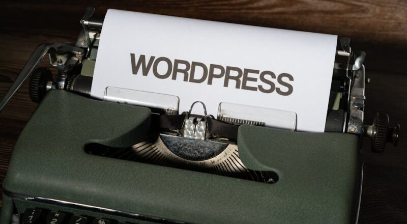 Wordpress Temaları: Hız ve SEO İçin En İyileri