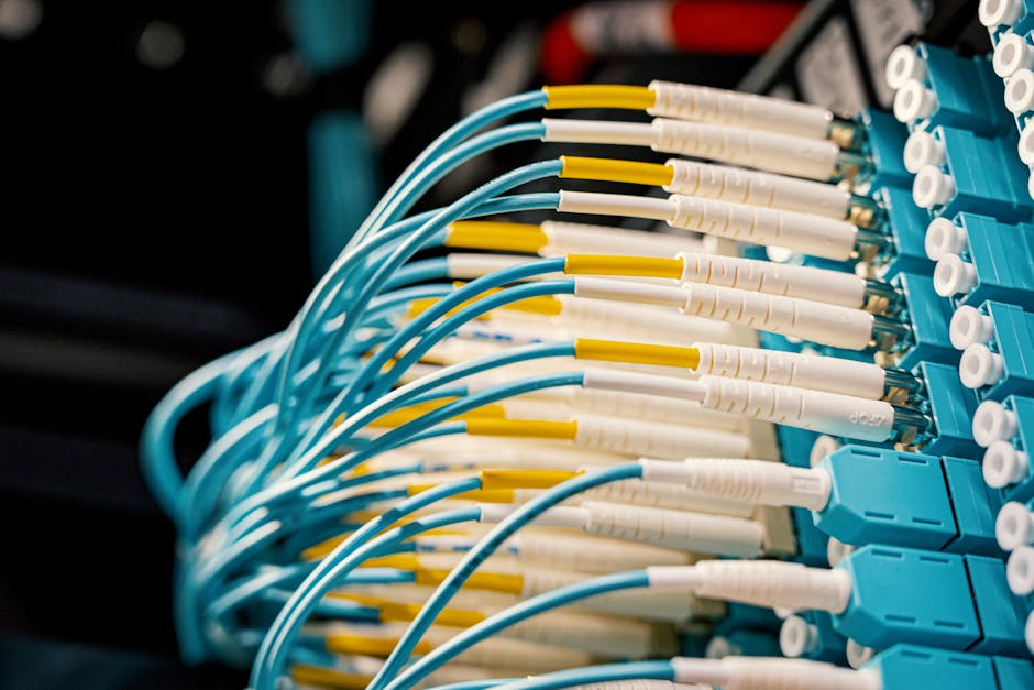 CDN integration for WordPress REST API performance illustration