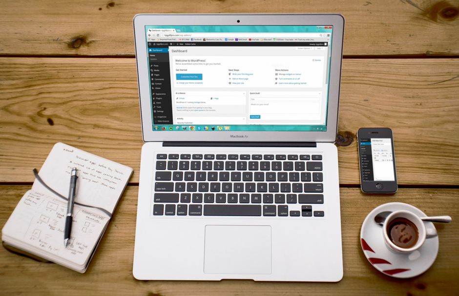 WordPress sitesi için erişilebilirlik kontrollerini gösteren ekran